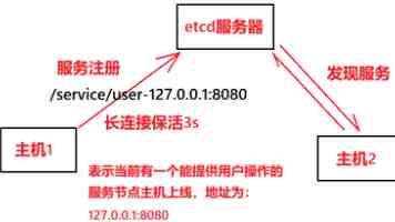 刘国中在安徽调研时强调 全力以赴夺取夏粮丰收 全面打牢秋粮生产基础