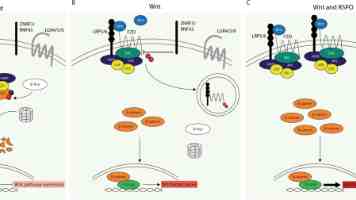 无人机穿越密林送配件