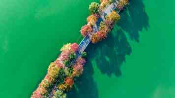 外交部发言人就第78届世界卫生大会拒绝涉台提案发表谈话