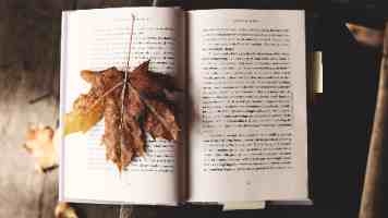 商务部李成钢国际贸易谈判代表兼副部长会见美国苹果 COO 萨比赫 · 汗